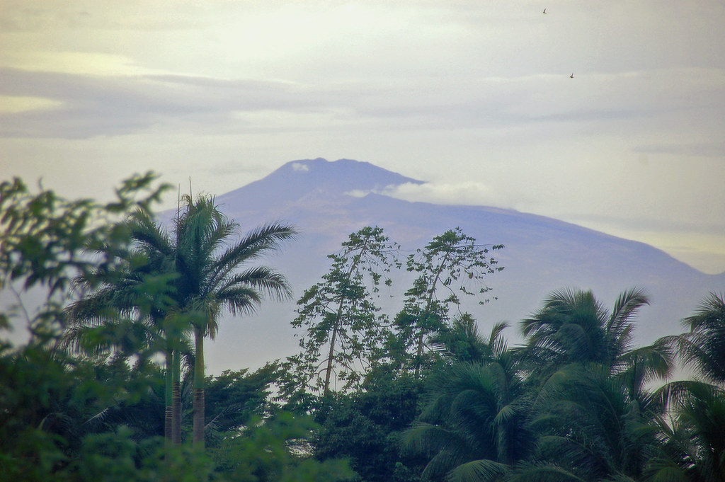 Mount Cameroon volcano trek - Mount Cameroon