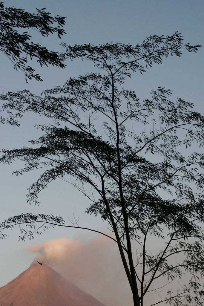 Mount Arenal volcano trek - Mount Arenal, Mr. Volcano
