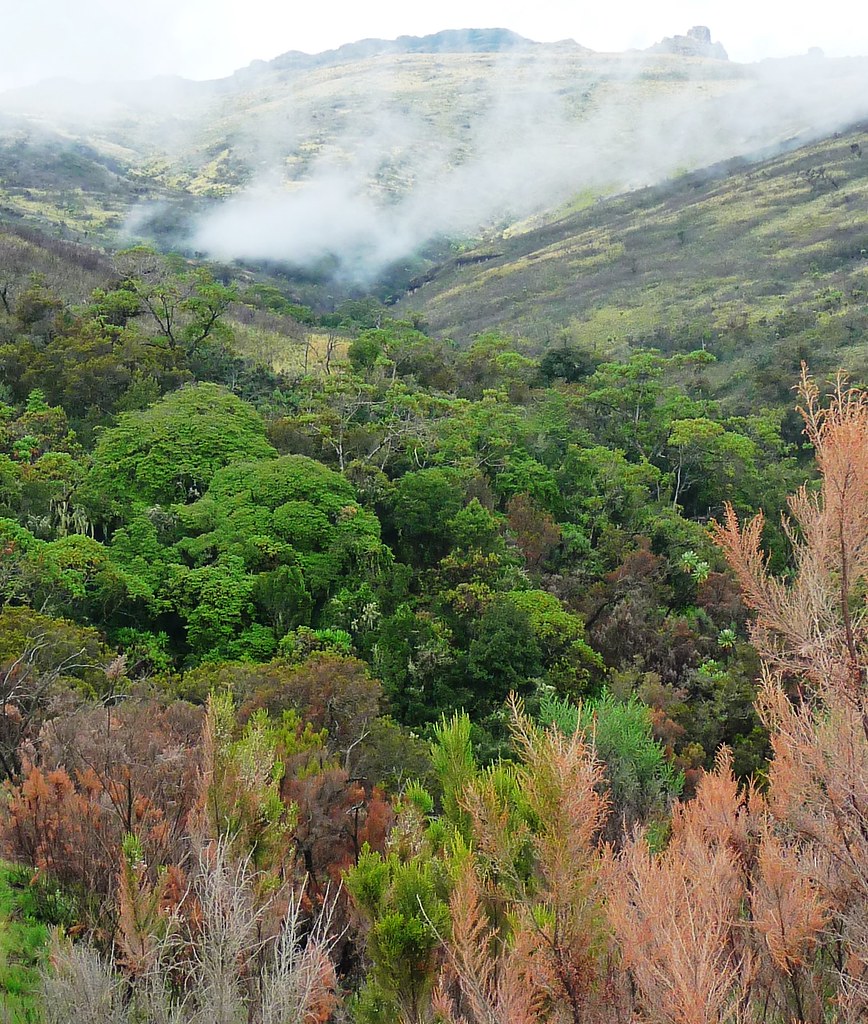 Mount Elgon volcano trek - Mount Elgon - Jinja, Uganda