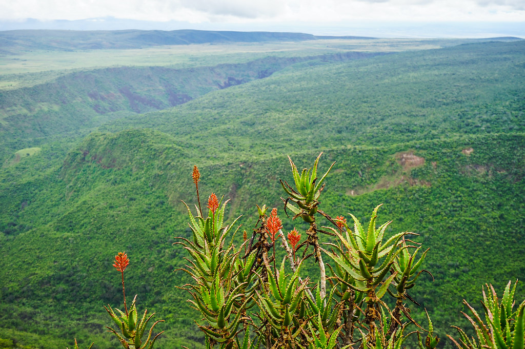 Mount Suswa volcano trek - Mount Suswa, Kenya