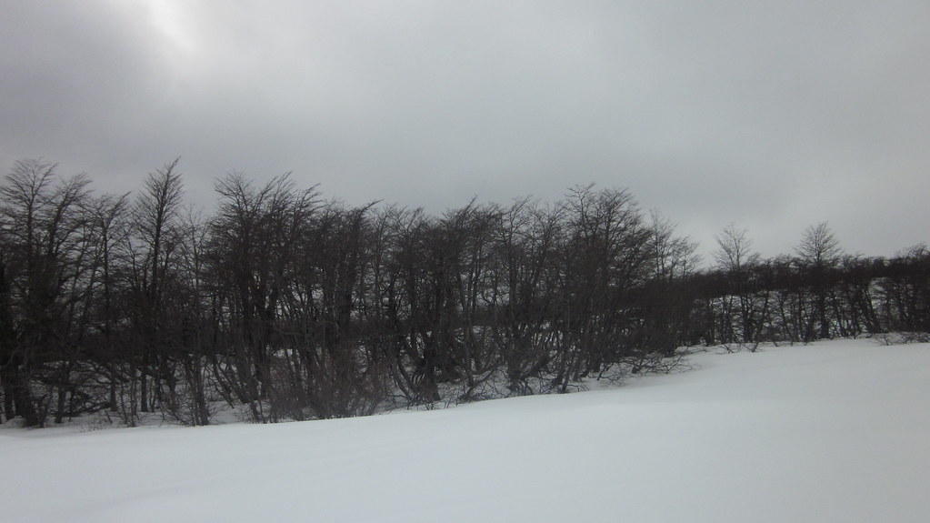 Mount Villarrica volcano trek - Mount Villarrica (Volcano Villarrica)