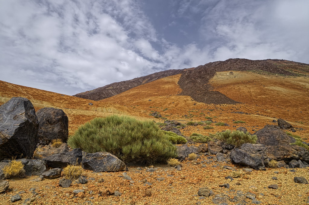 Mount Teide volcano trek - Volcanic landscape at Mount Teide on Tenerife, Canary Islands, Spain - 3