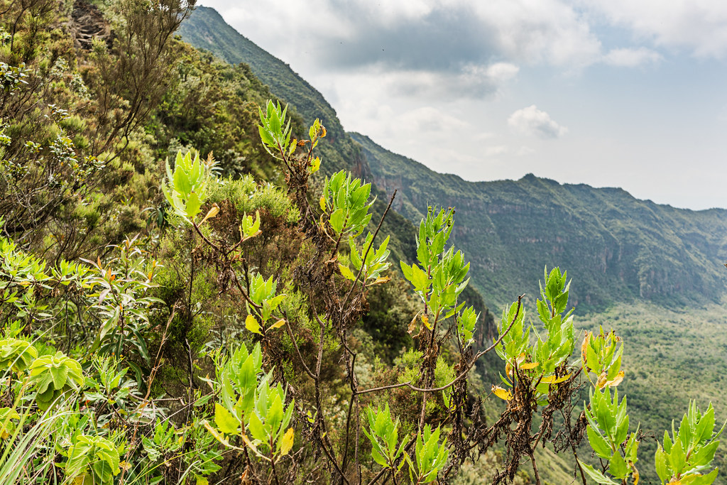 Mount Longonot volcano trek - Mount Longonot, Kenya