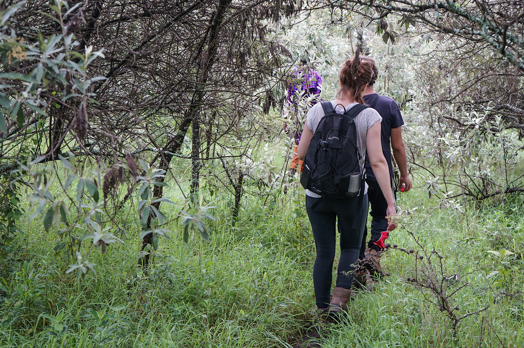 Mount Suswa volcano trek - Mount Suswa, Kenya