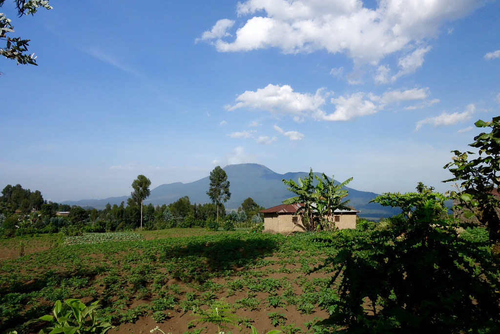 Mount Nyiragongo volcano trek - Nyiragongo volcano