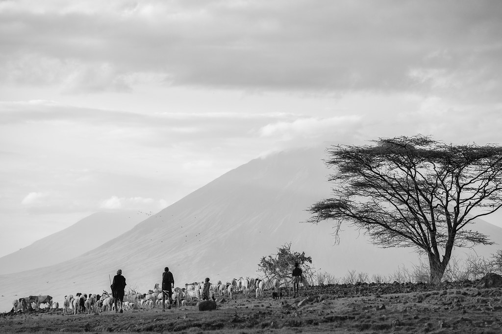 Ol Doinyo Lengai volcano trek - Ol Doinyo Lengai - Tanzania